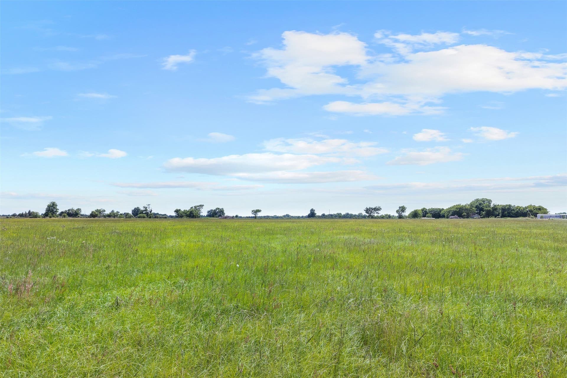 31.5 acres in Limestone County - photo 22