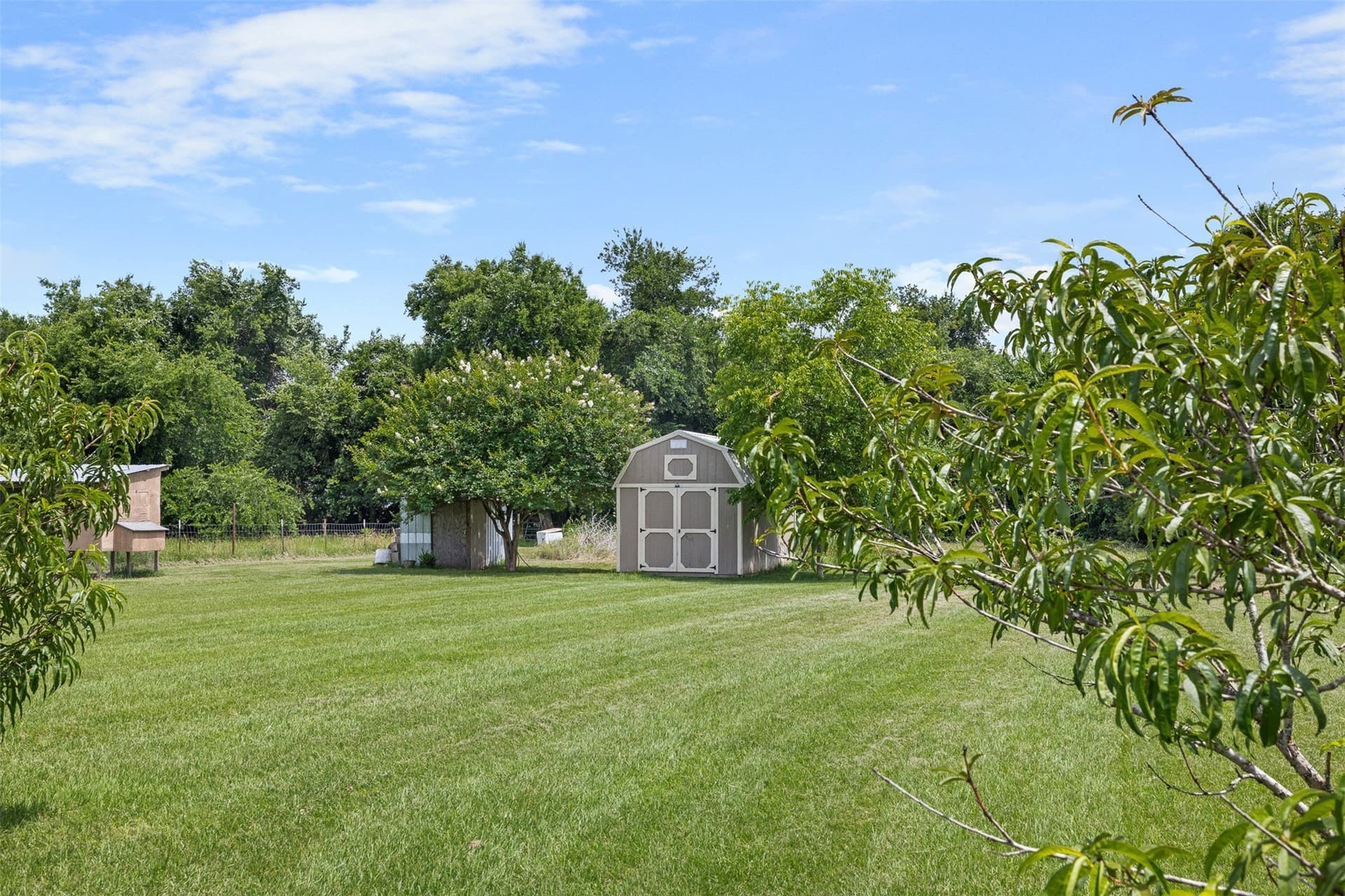 31.5 acres in Limestone County - photo 18