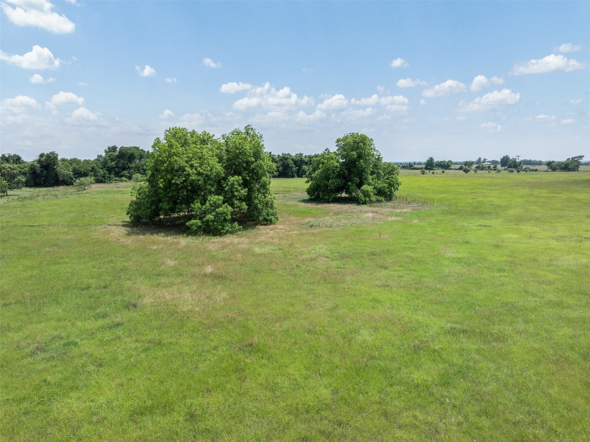 31.5 acres in Limestone County - photo 23