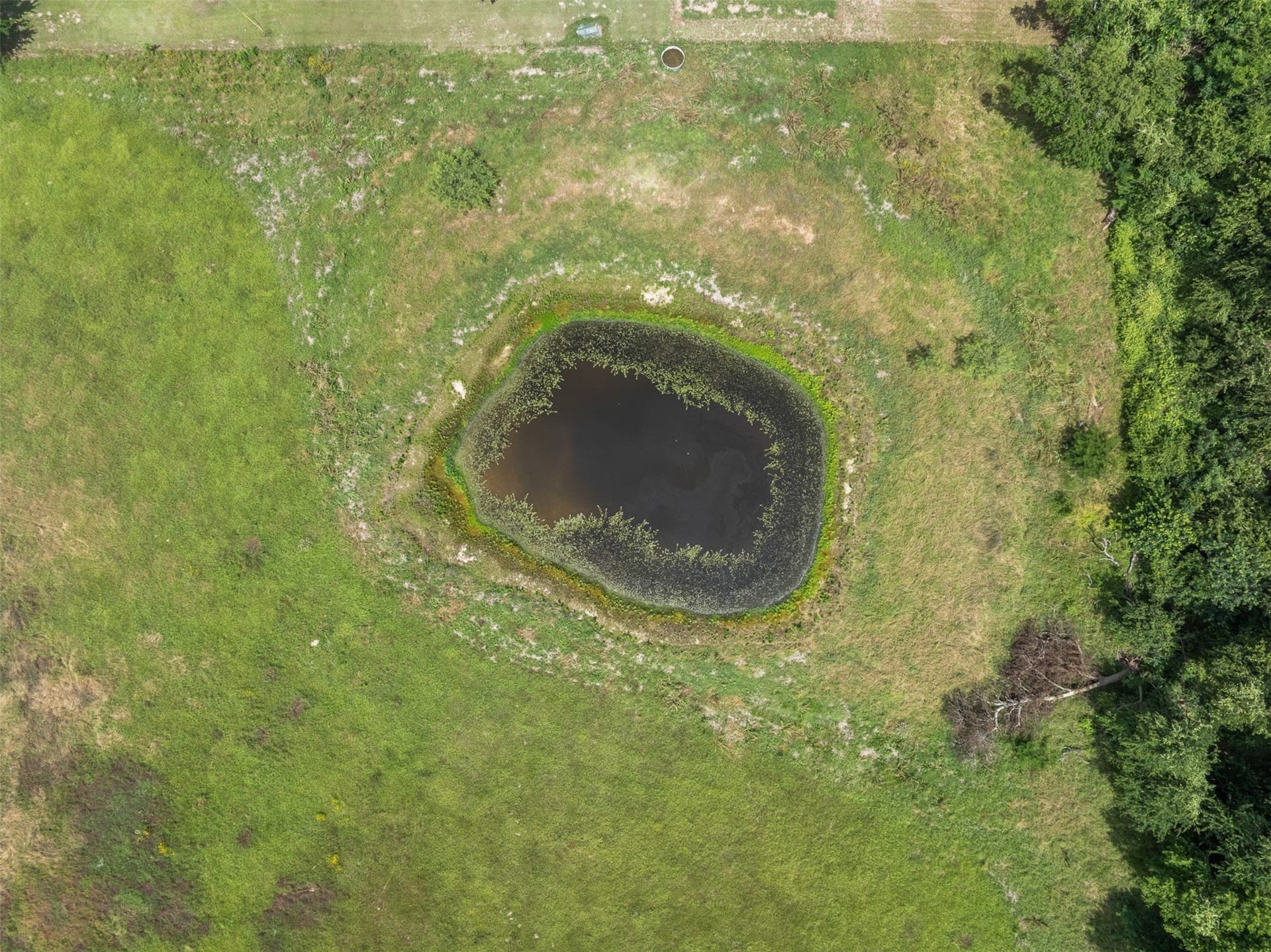 31.5 acres in Limestone County - photo 27