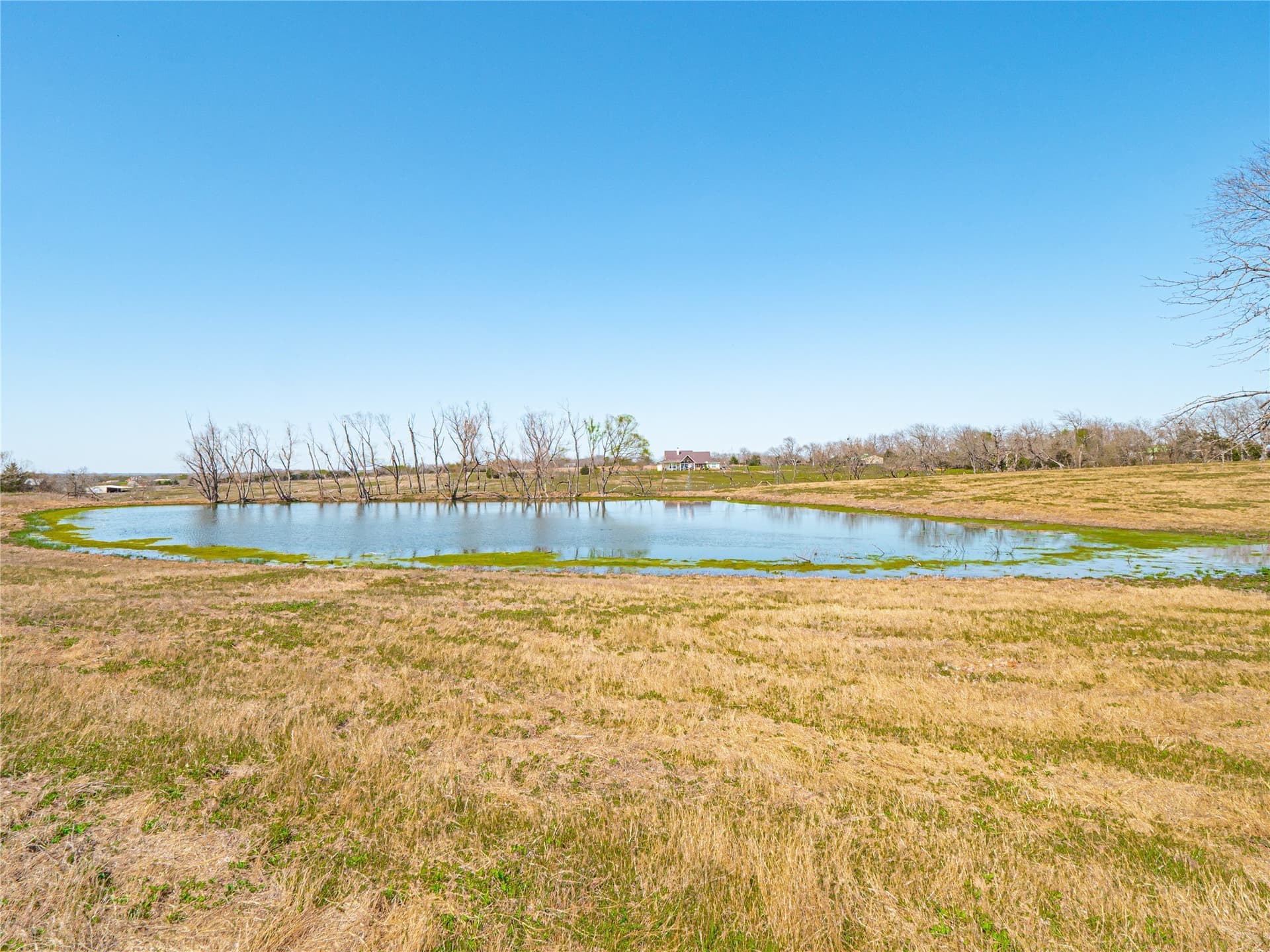 12.75 acres in Collin County - photo 5