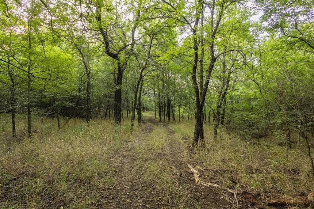 30 acres in Grayson County gallery image 3