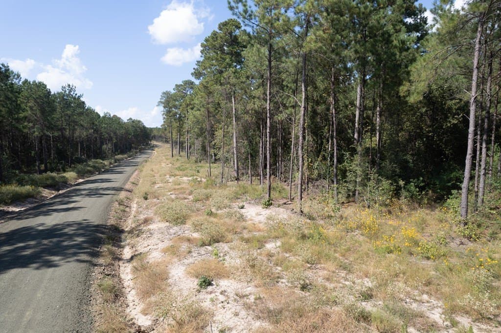1.73 acres in Texas County gallery image 3