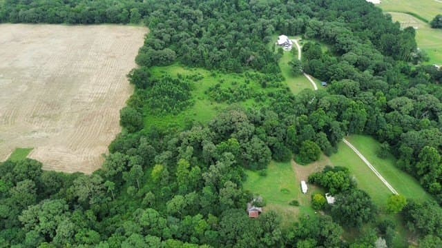14.23 acres in Texas County gallery image 4