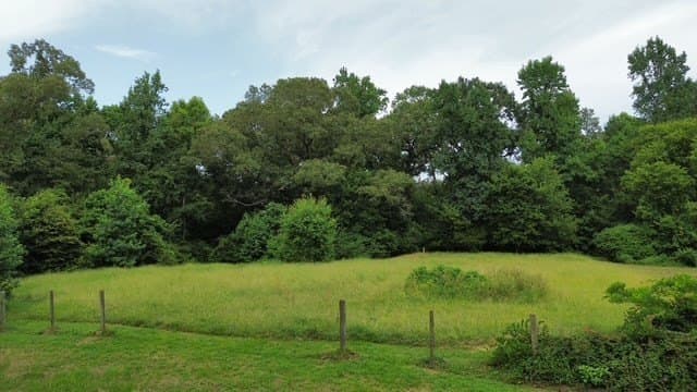14.23 acres in Texas County - photo 7