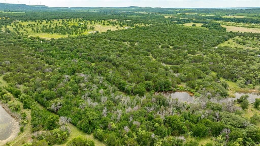45.78 acres in Erath County gallery image 3