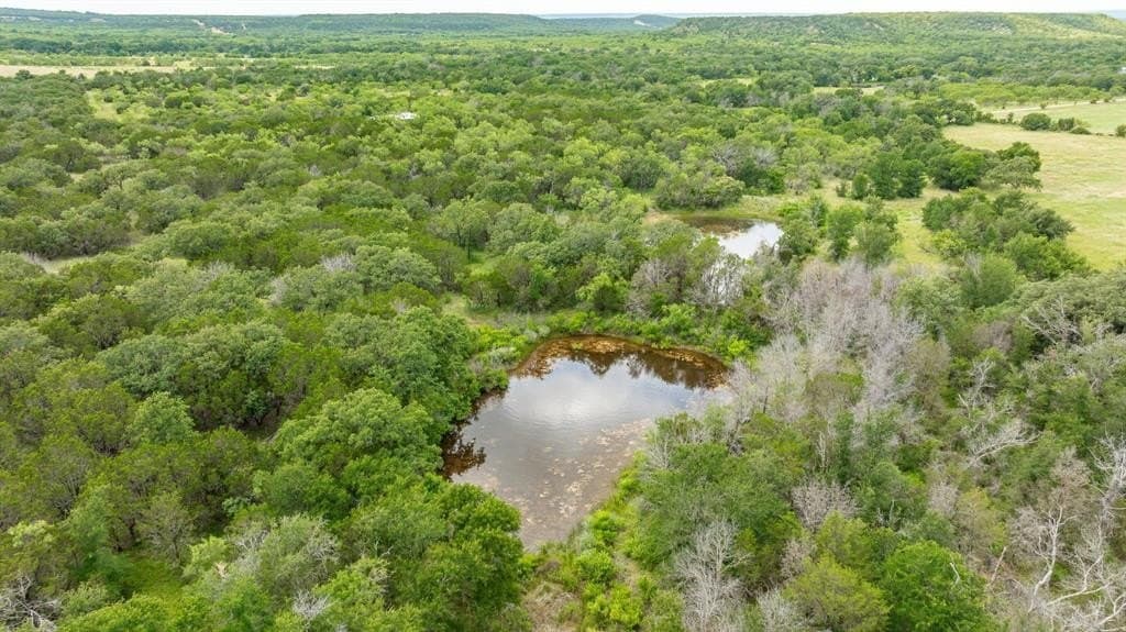 45.78 acres in Erath County gallery image 2