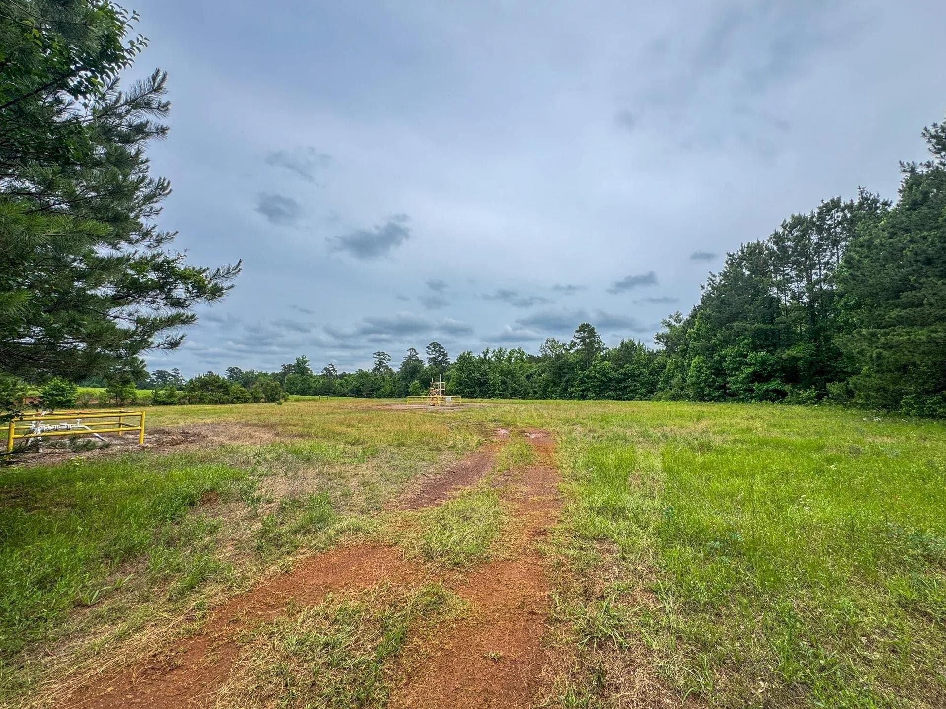 115.66 acres in Panola County gallery image 2