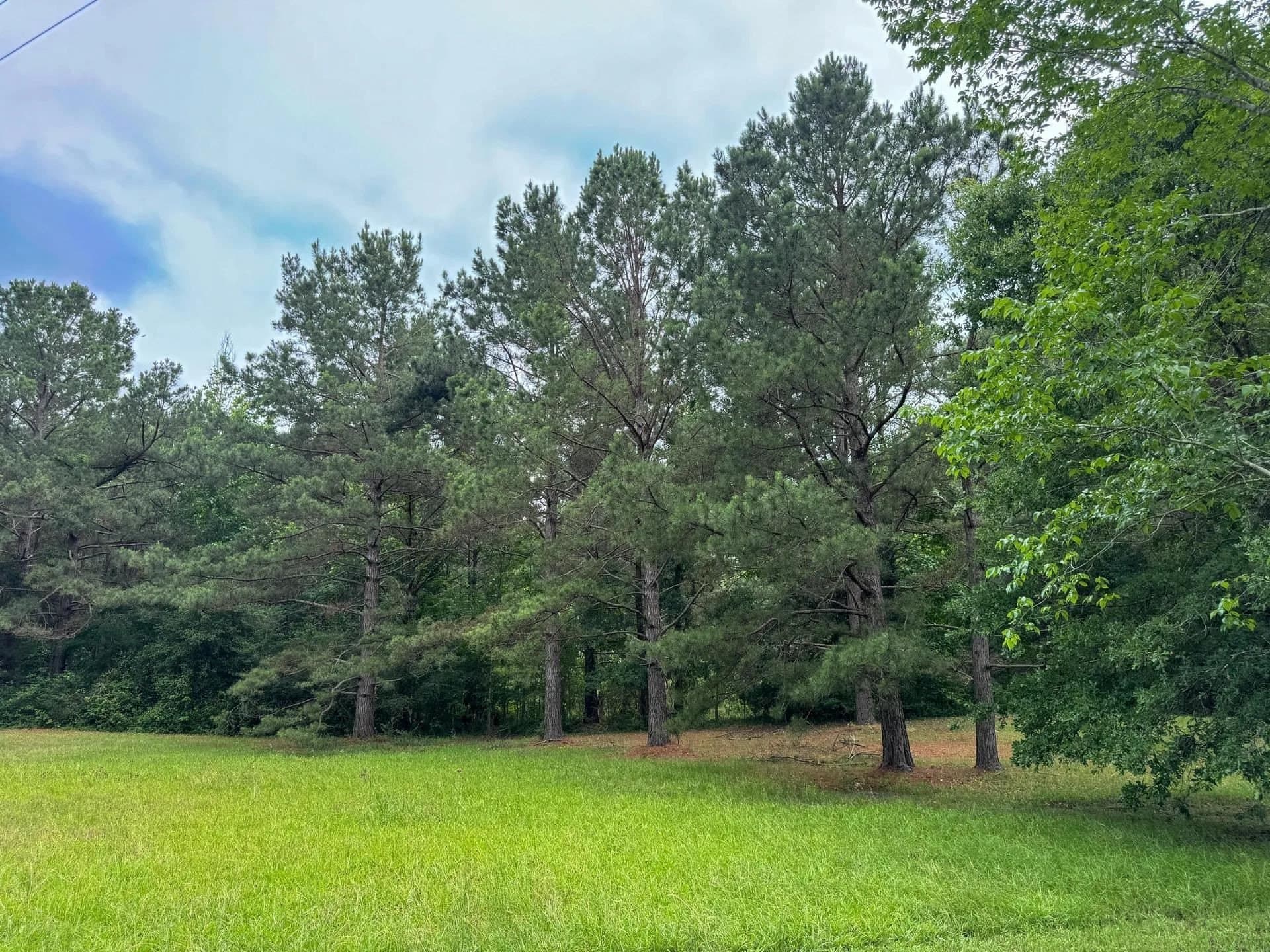 115.66 acres in Panola County - photo 40