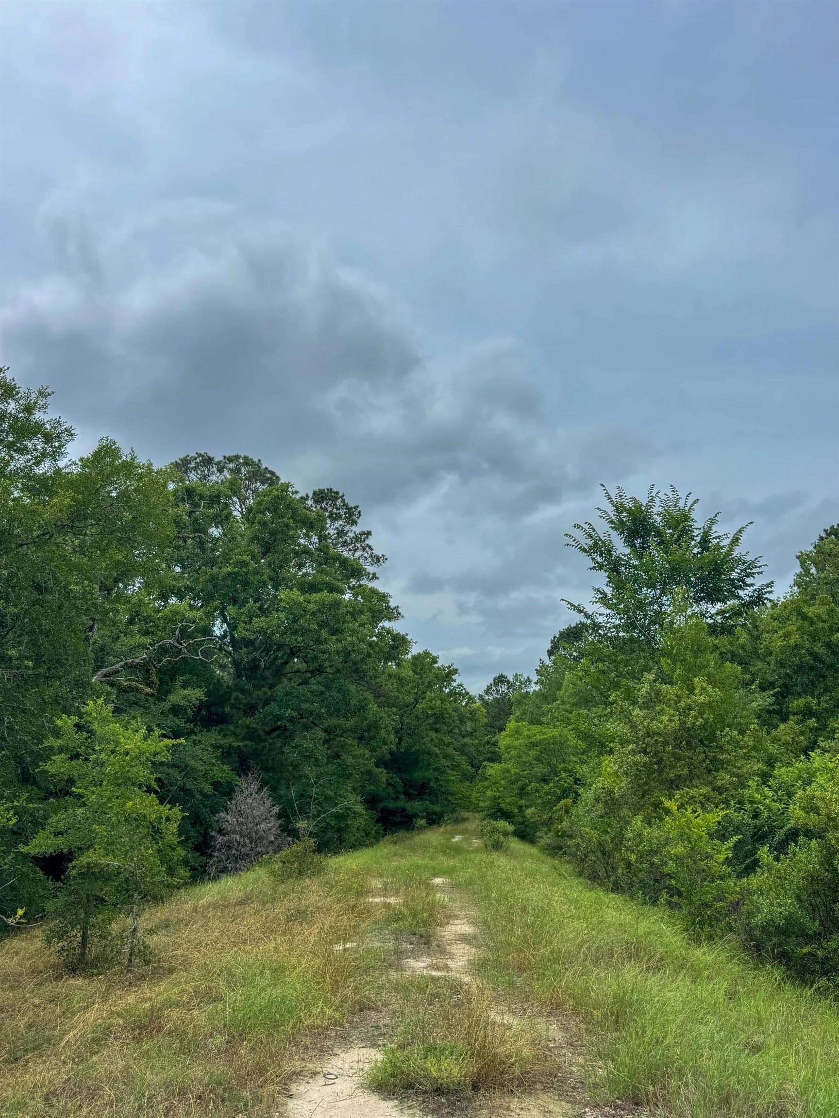 115.66 acres in Panola County - photo 35