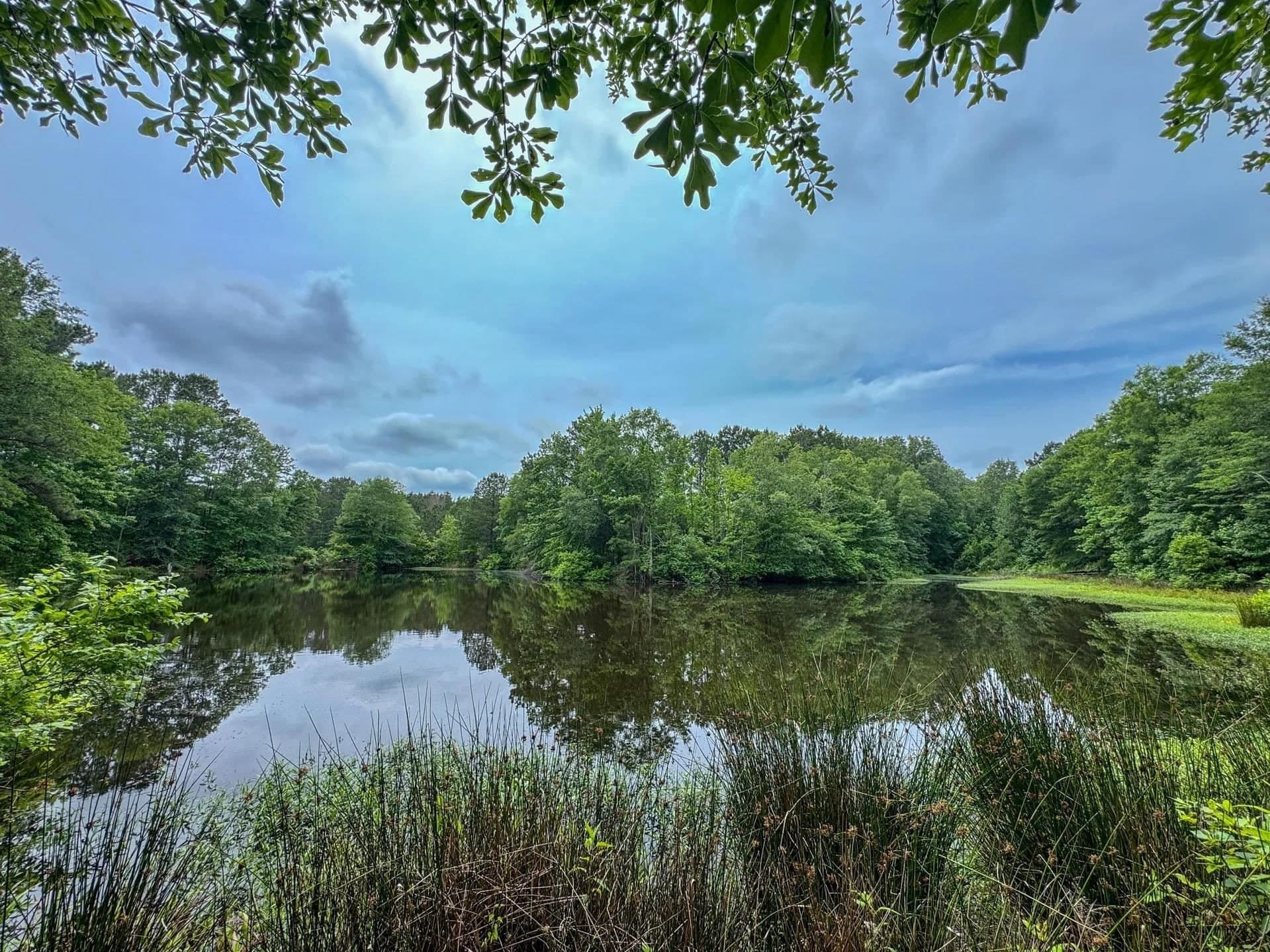 115.66 acres in Panola County - photo 24