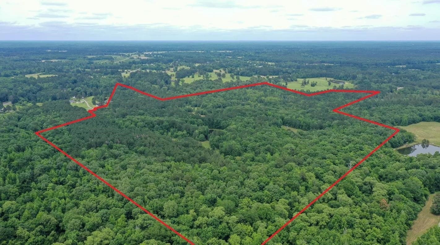 115.66 acres in Panola County