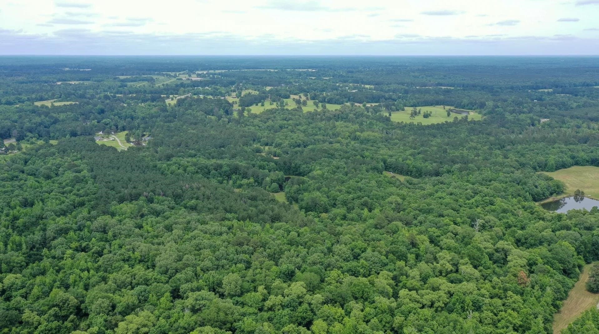 115.66 acres in Panola County - photo 44