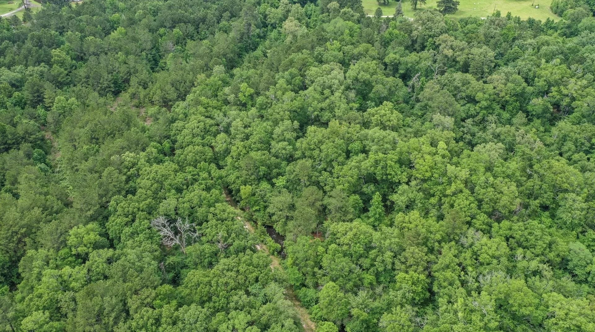 115.66 acres in Panola County - photo 50