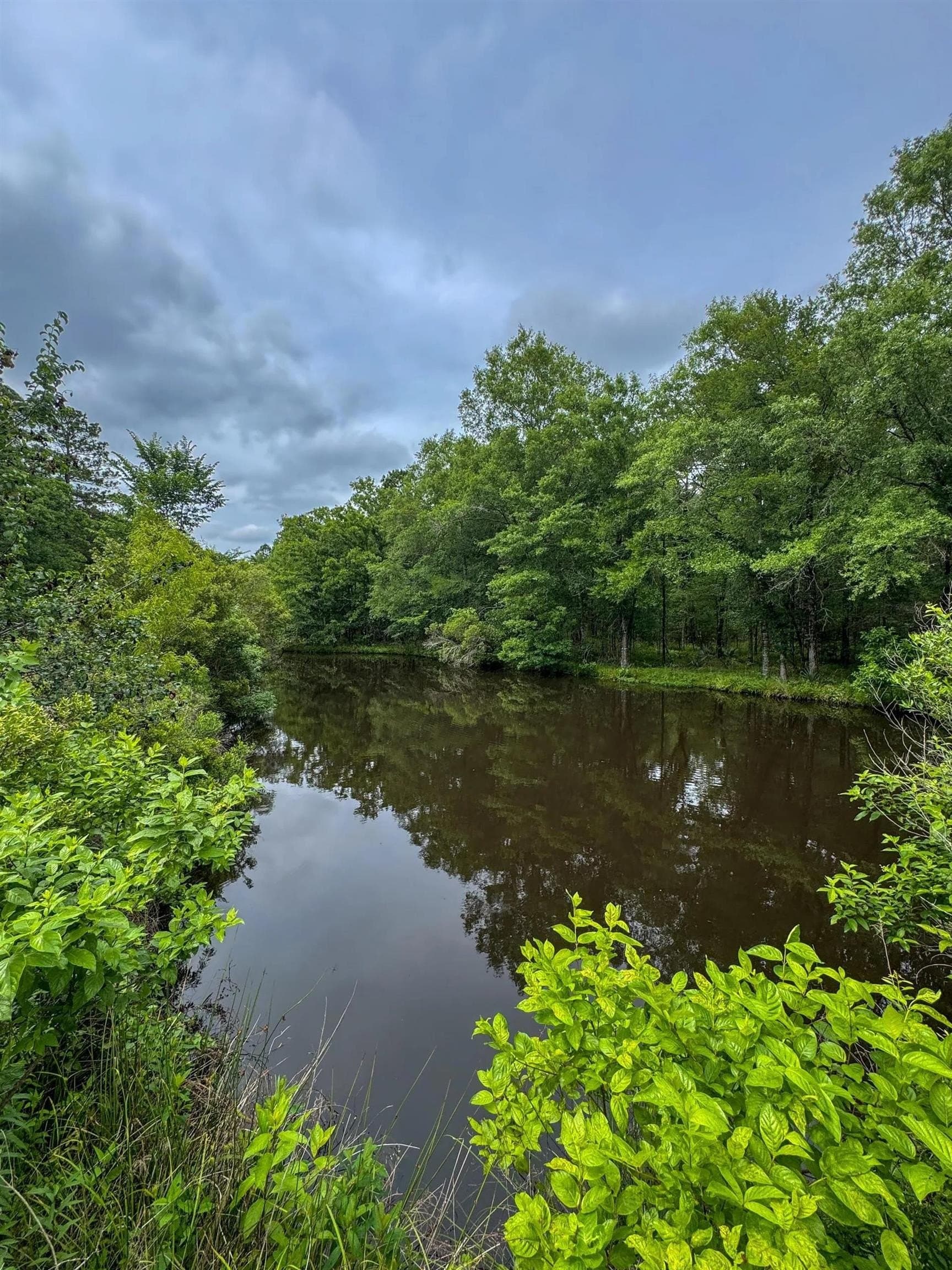 115.66 acres in Panola County - photo 34