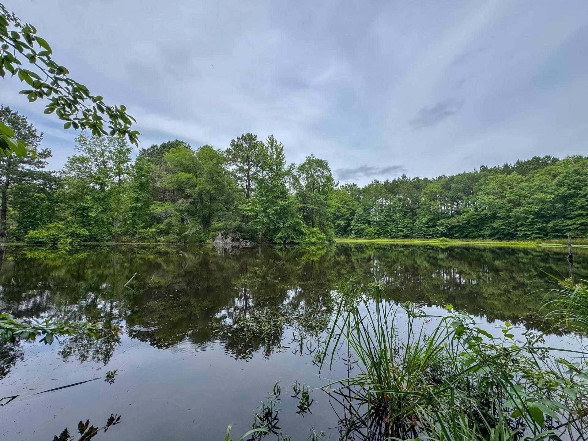 115.66 acres in Panola County - photo 15