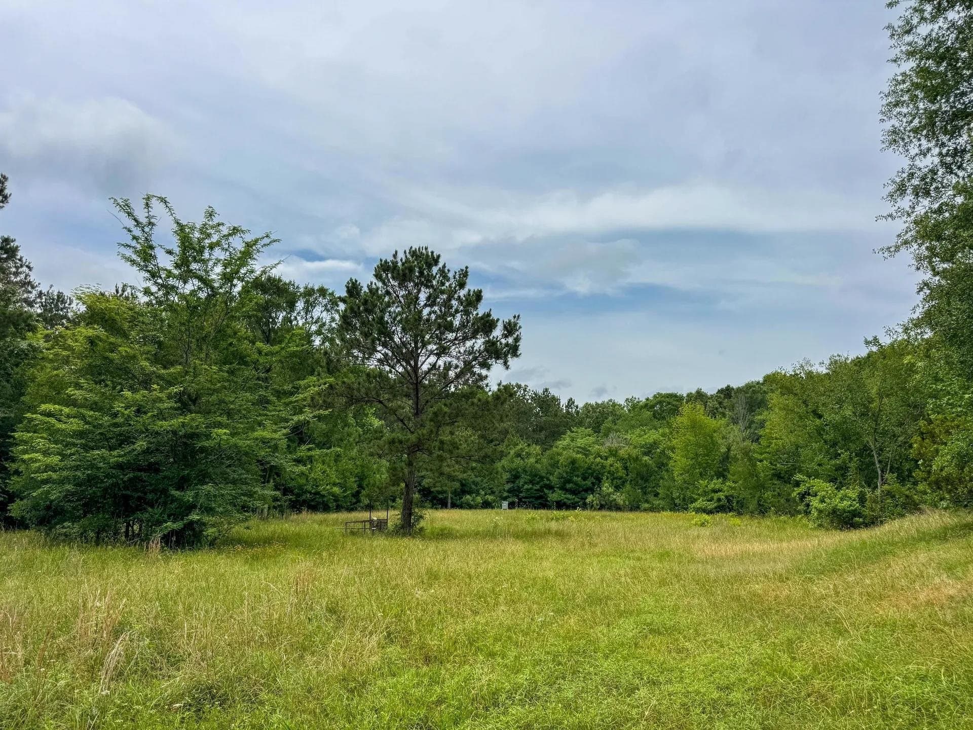 115.66 acres in Panola County - photo 18