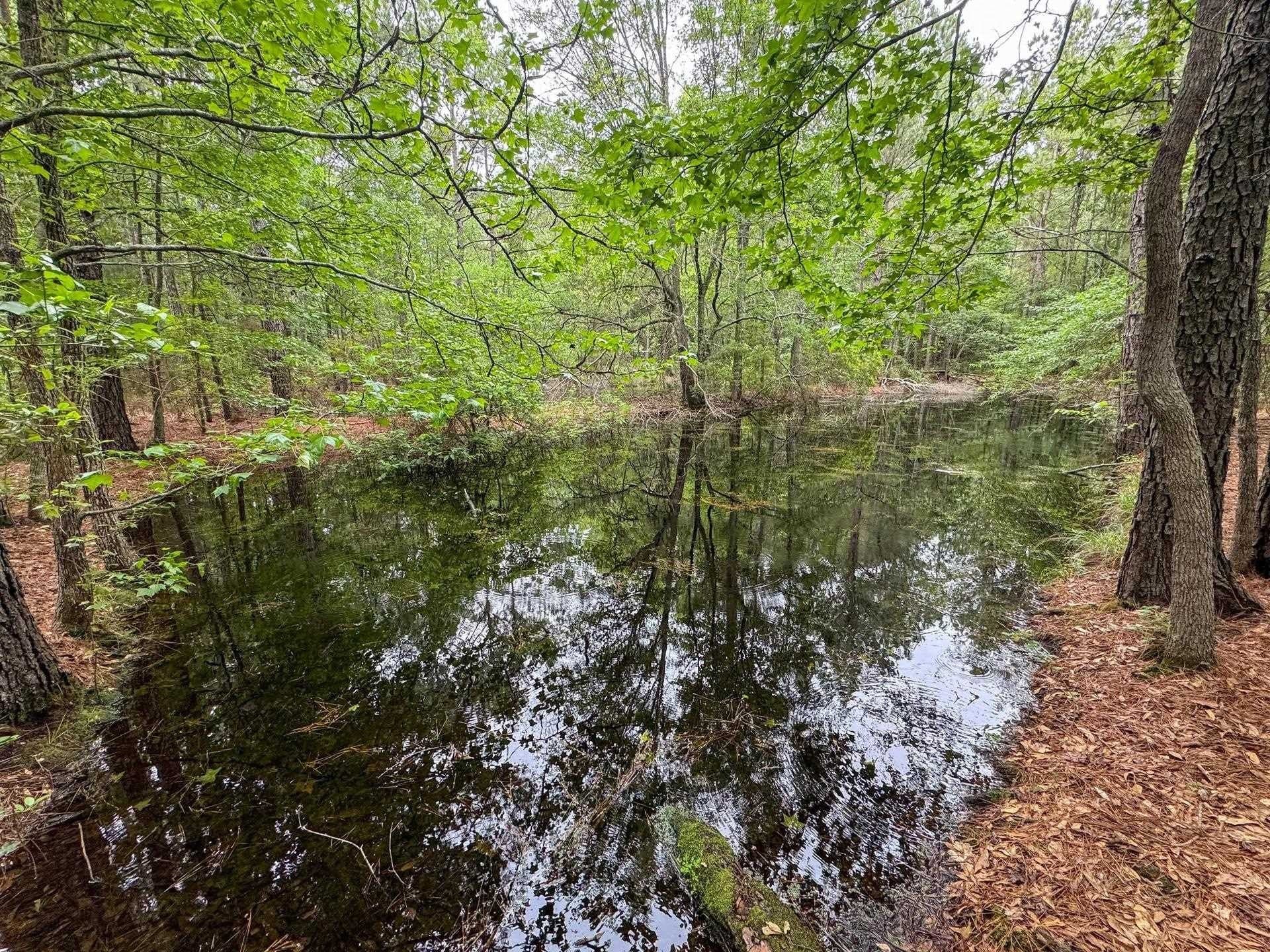 115.66 acres in Panola County - photo 45