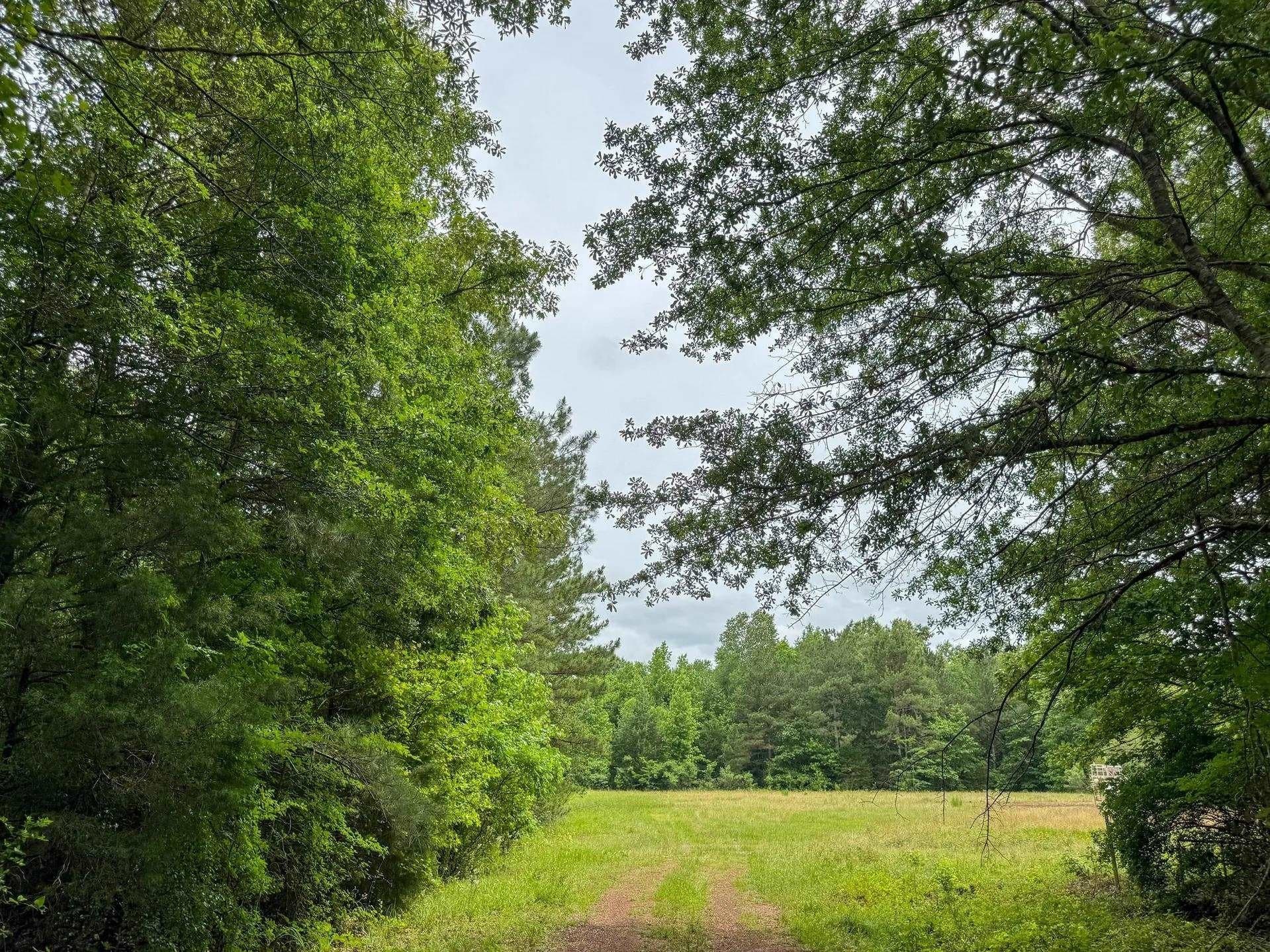 115.66 acres in Panola County - photo 10