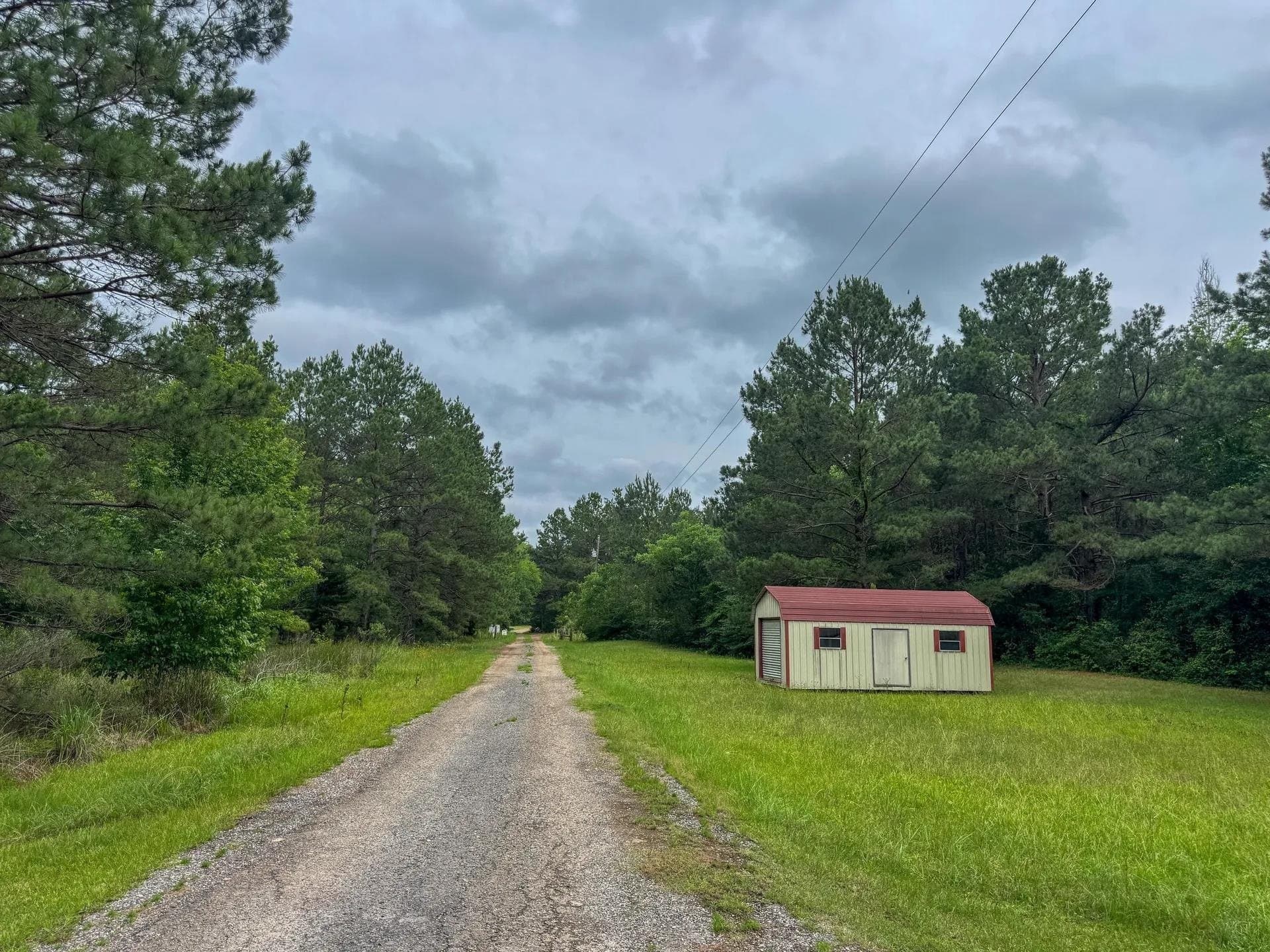 115.66 acres in Panola County - photo 37