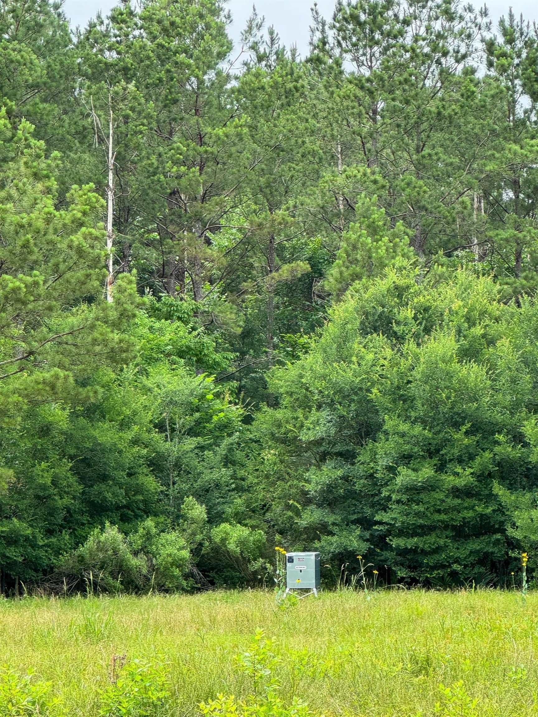 115.66 acres in Panola County - photo 26