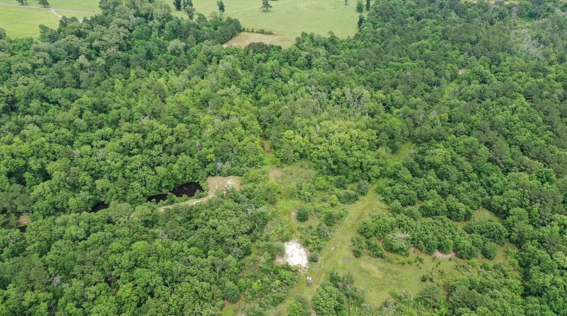 115.66 acres in Panola County - photo 49