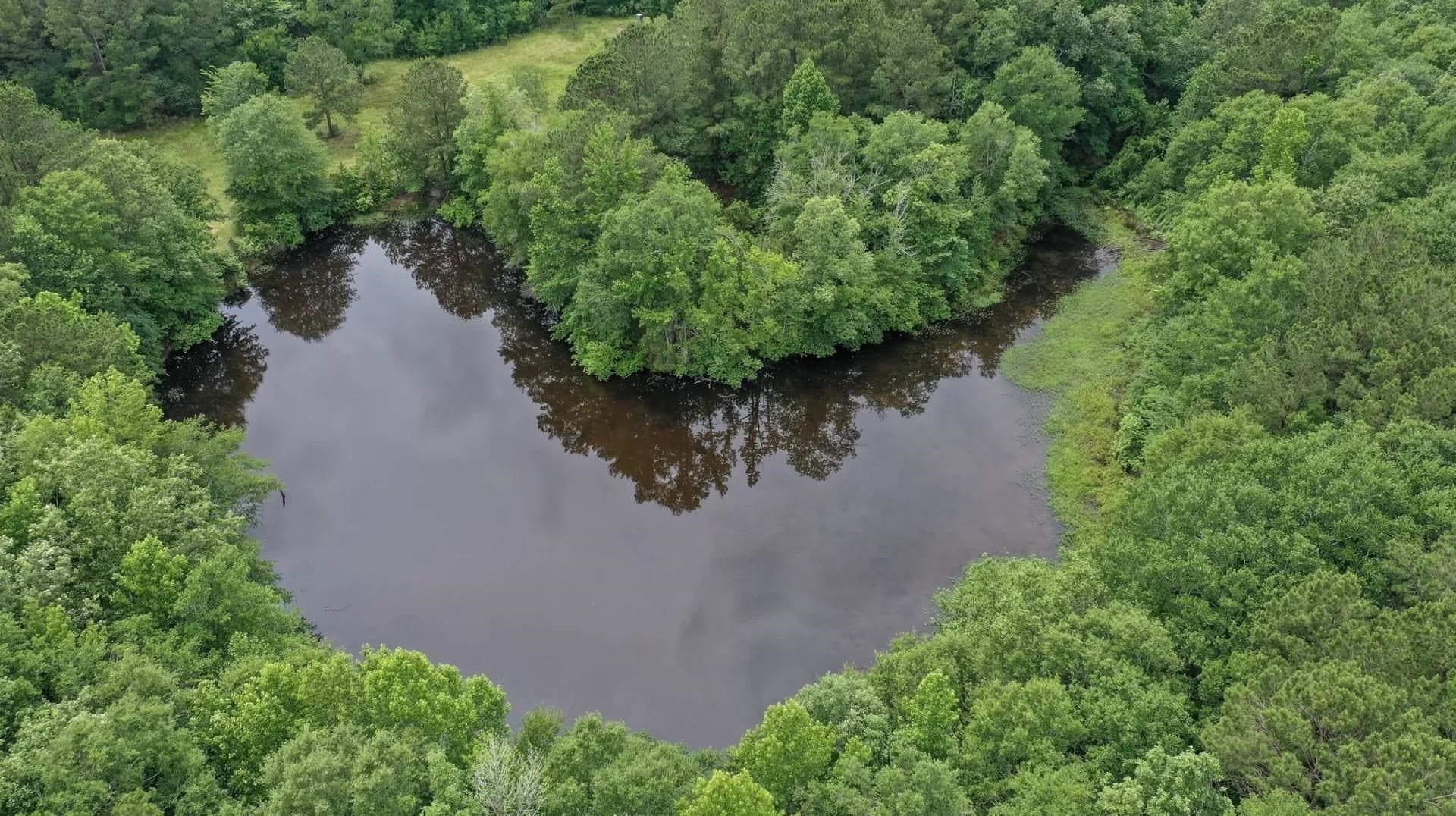 115.66 acres in Panola County - photo 43