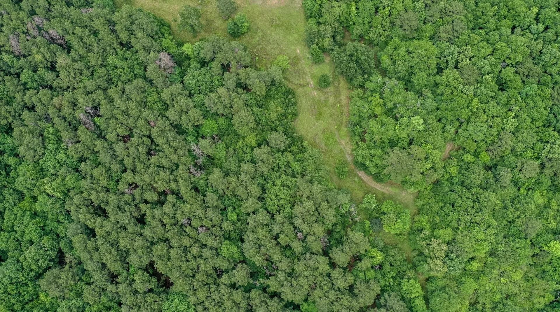 115.66 acres in Panola County - photo 48