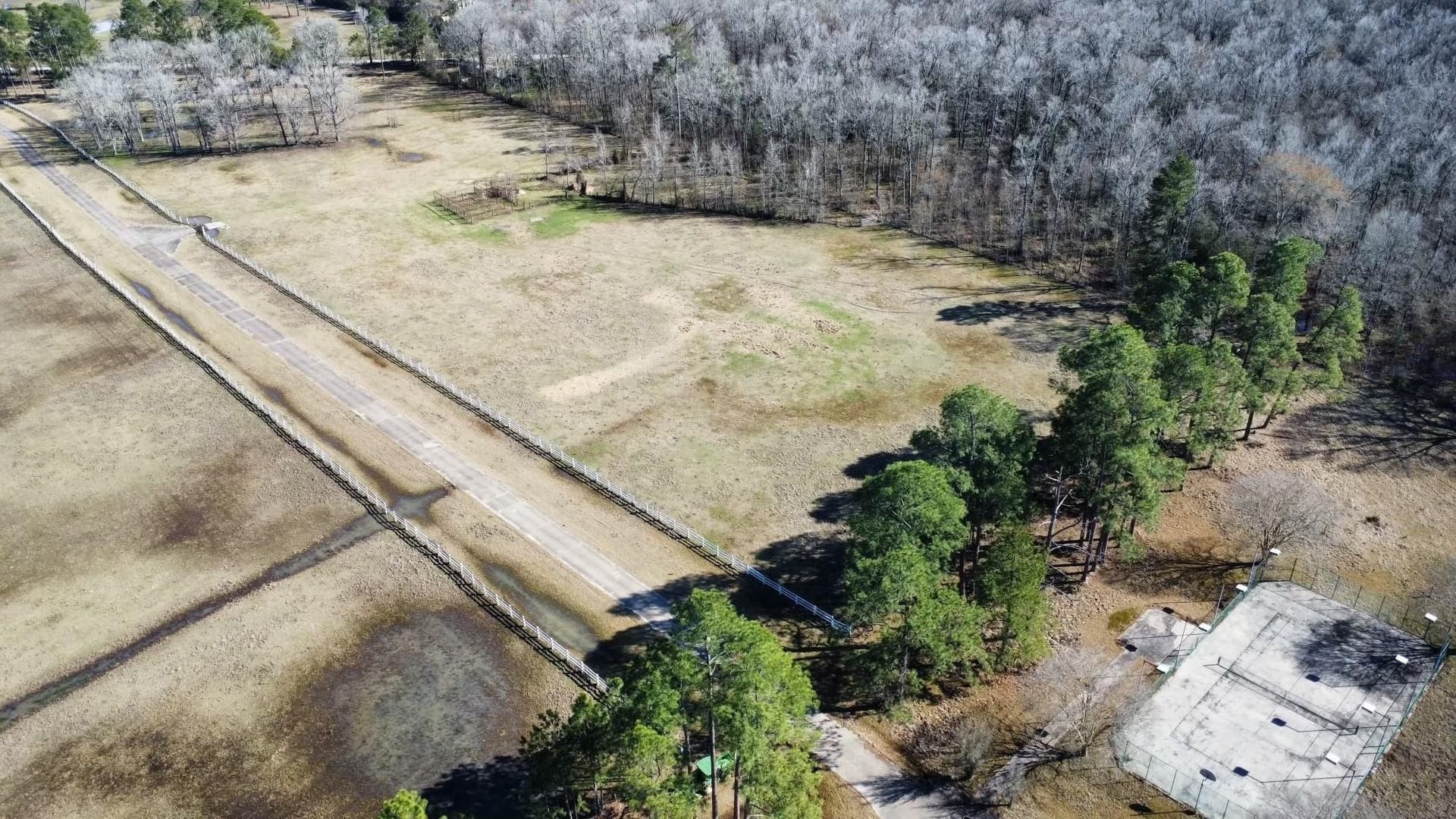 30 acres in Liberty County gallery image 4