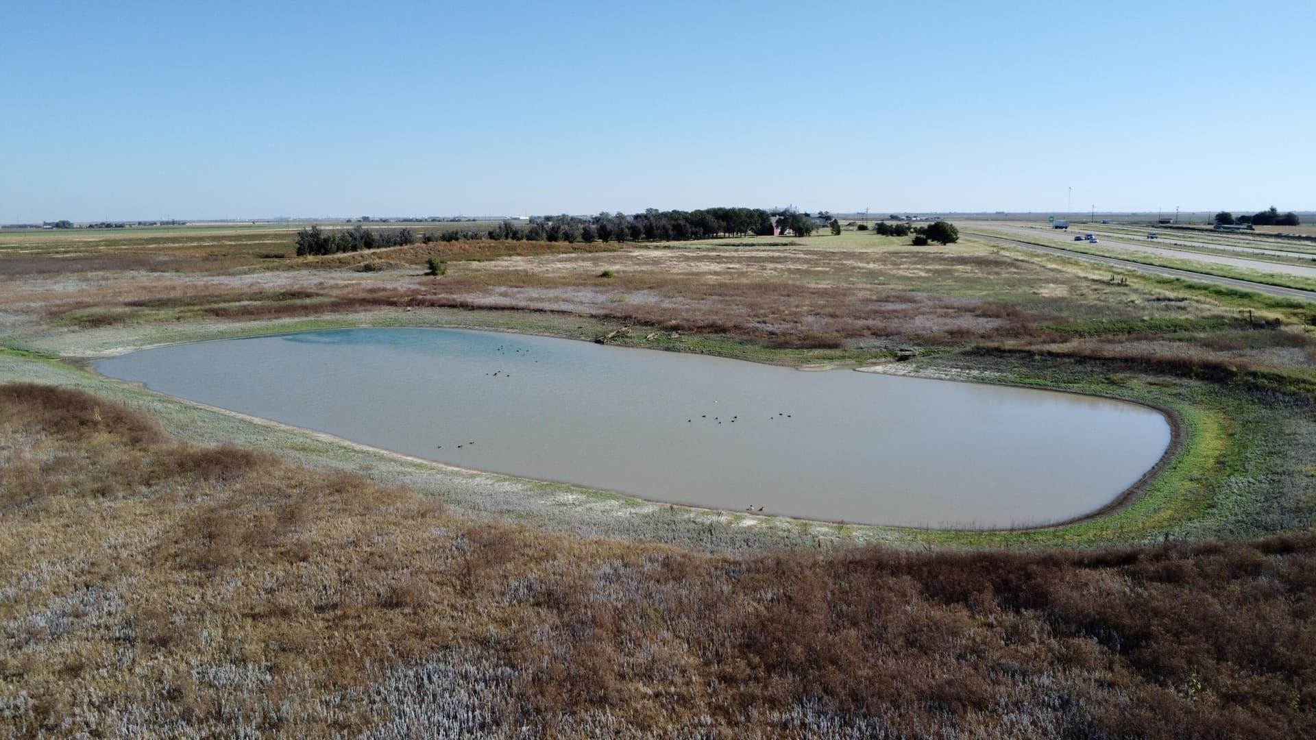 43 acres in Hale County - photo 9