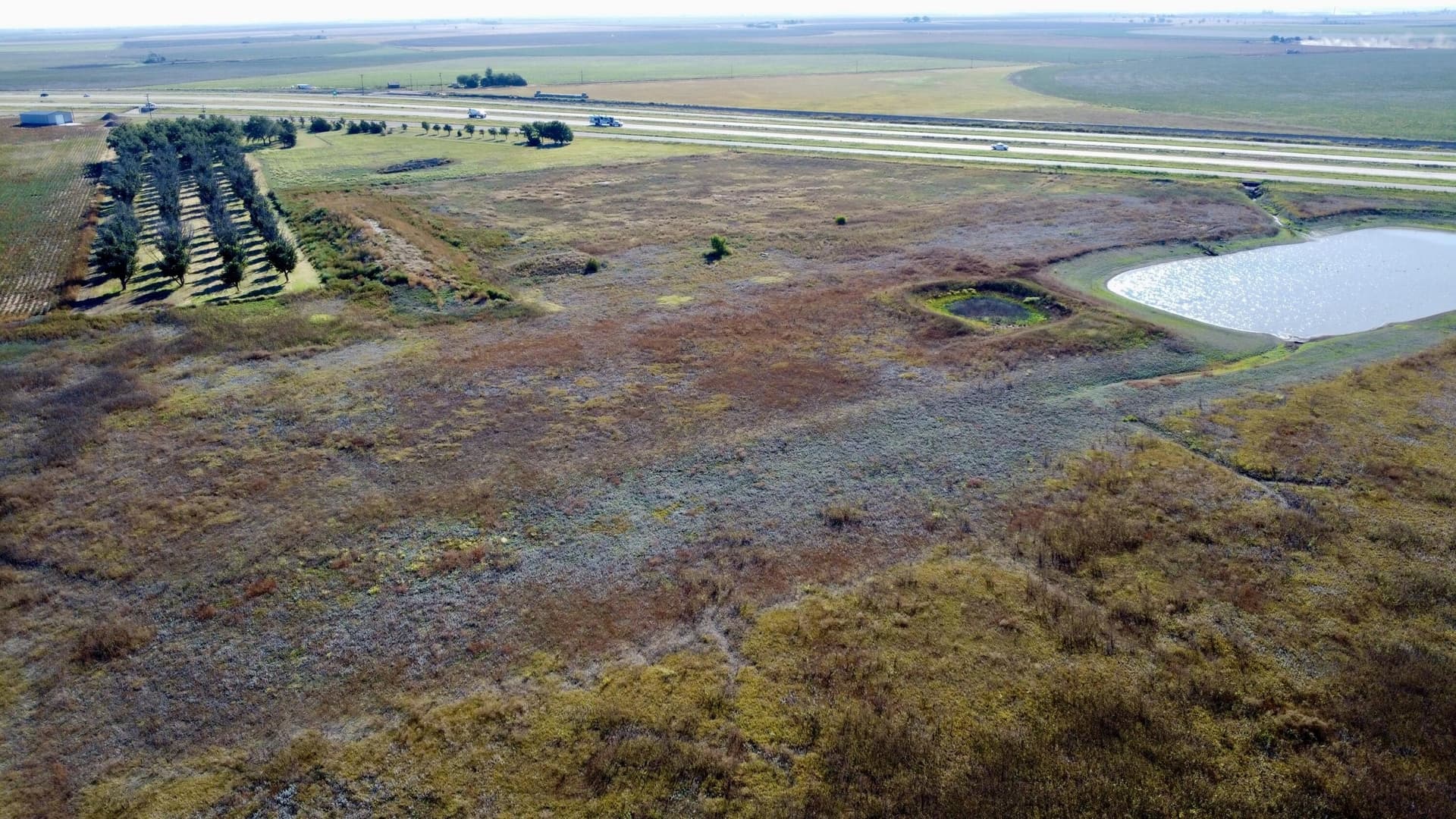 43 acres in Hale County - photo 7