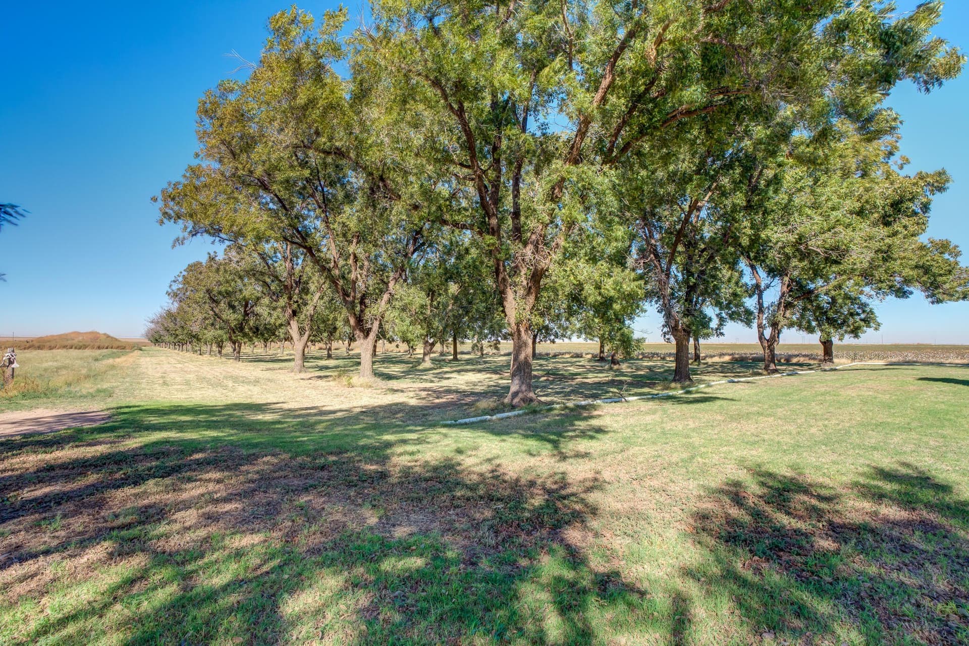 43 acres in Hale County - photo 14