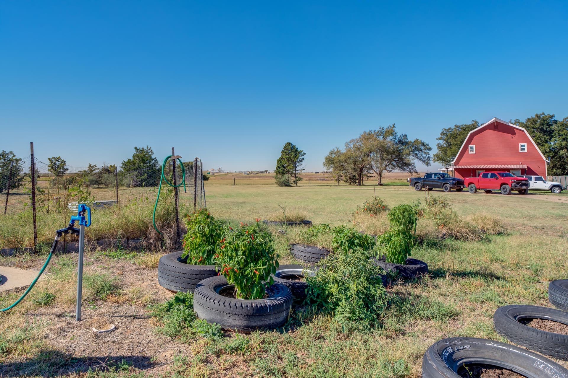 43 acres in Hale County - photo 17