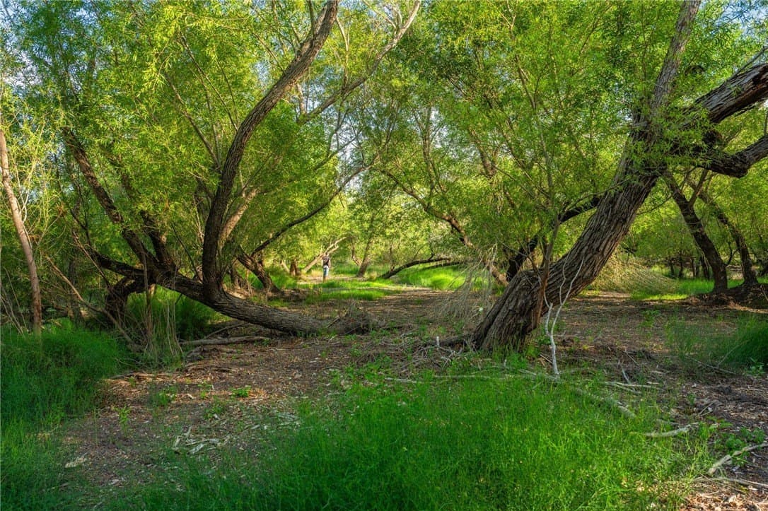 0 acres in McMullen County - photo 31
