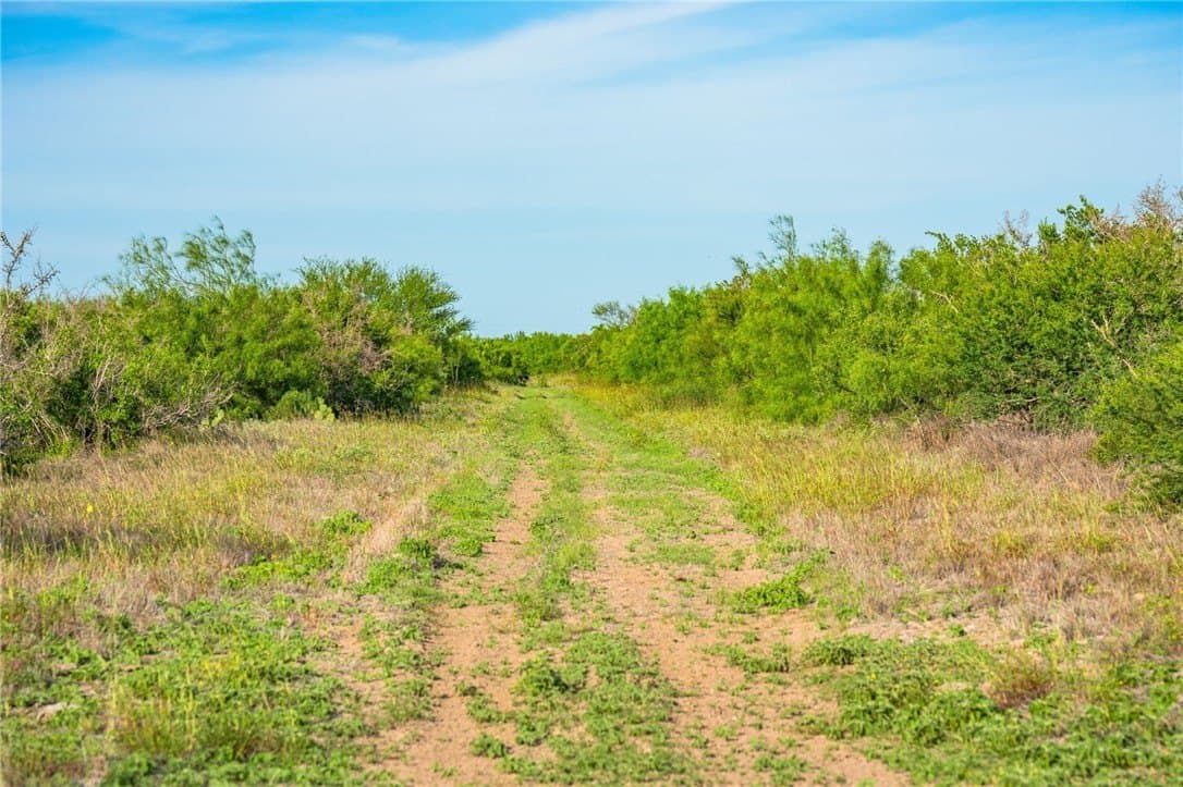 0 acres in McMullen County - photo 28