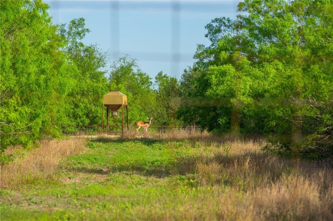 0 acres in McMullen County - photo 7