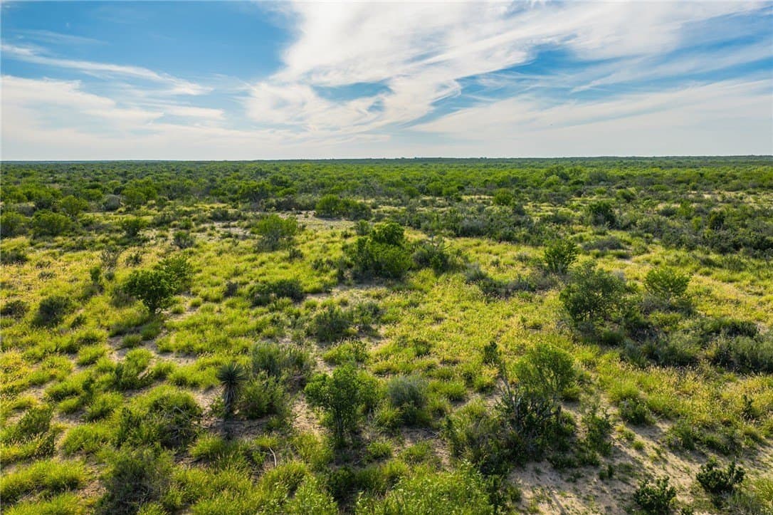 0 acres in McMullen County - photo 11