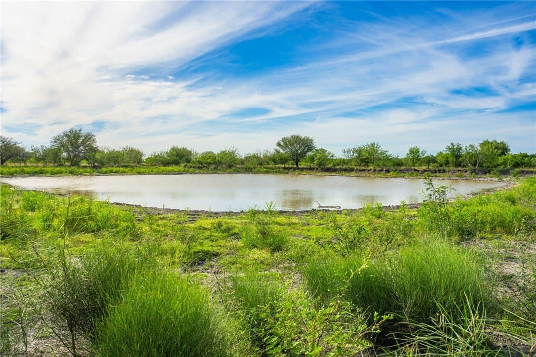 0 acres in McMullen County - photo 19