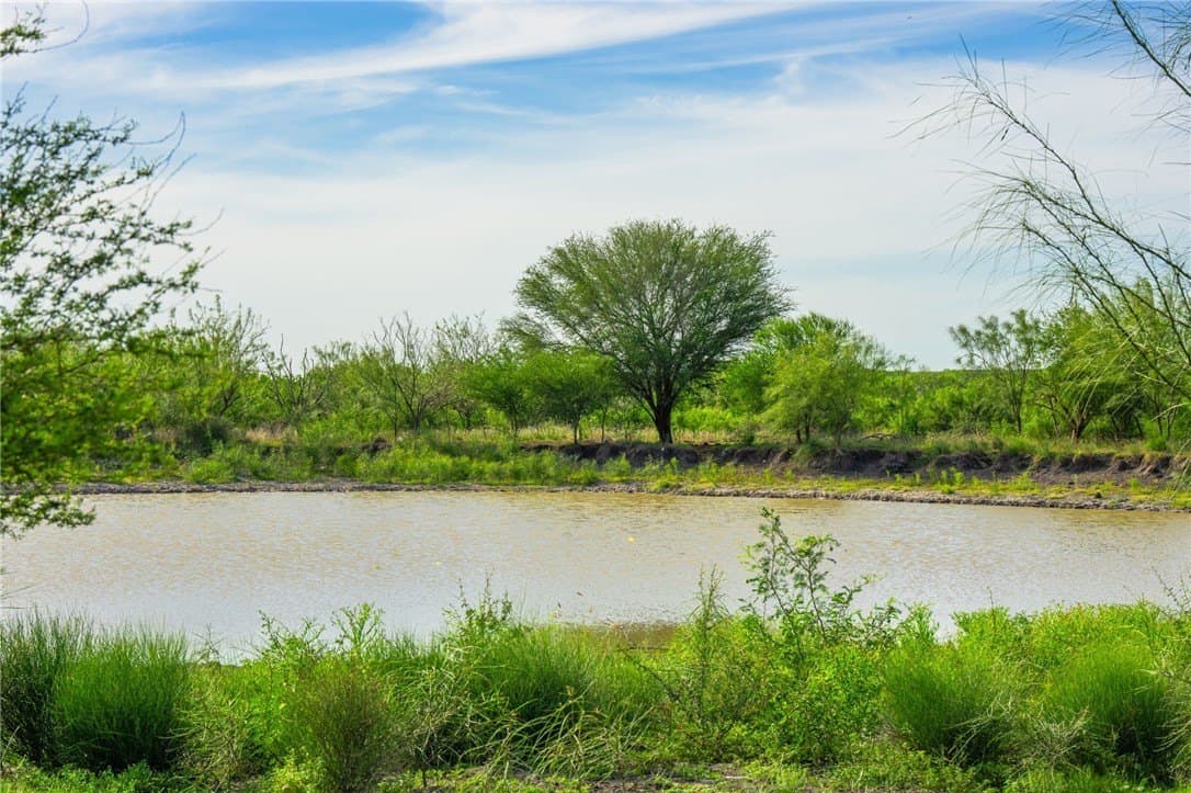 0 acres in McMullen County - photo 18