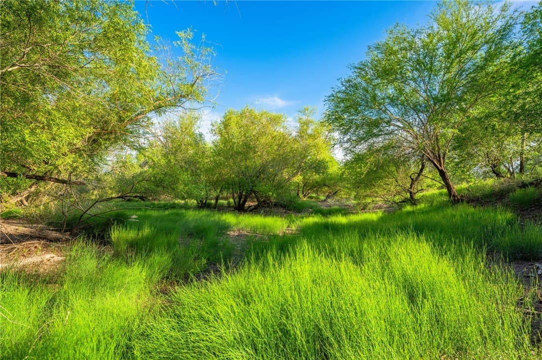 0 acres in McMullen County - photo 32