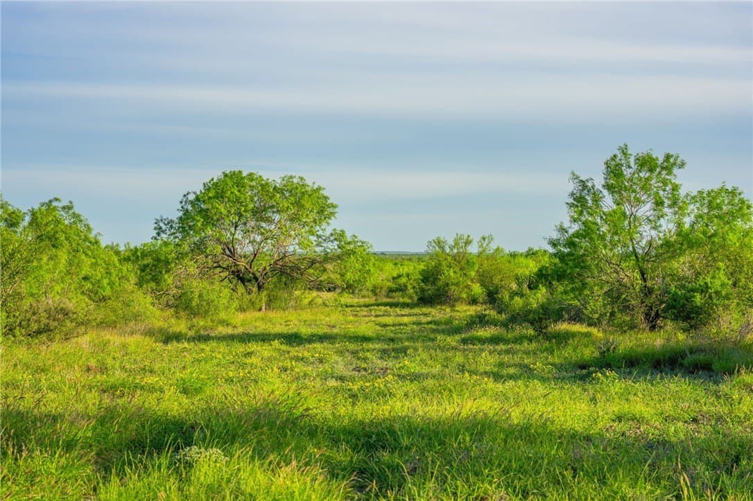 0 acres in McMullen County - photo 8
