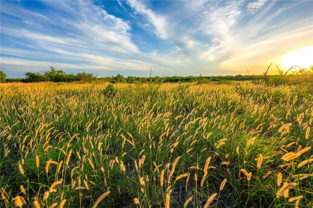 0 acres in McMullen County - photo 35
