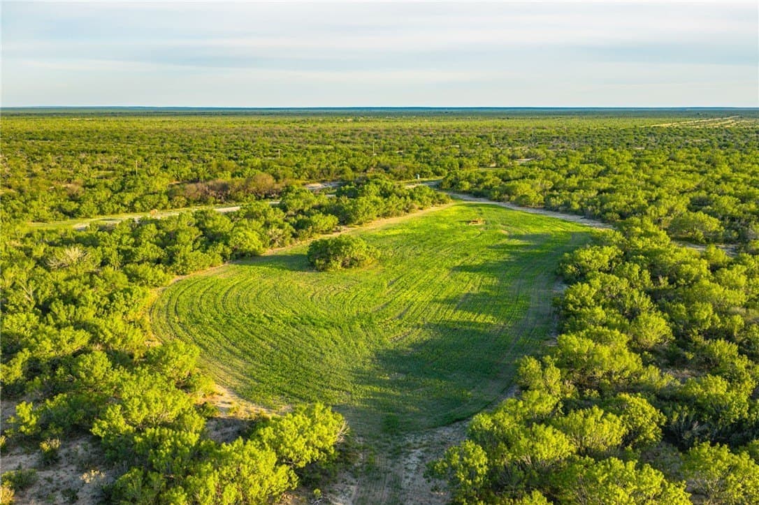 0 acres in McMullen County - photo 12