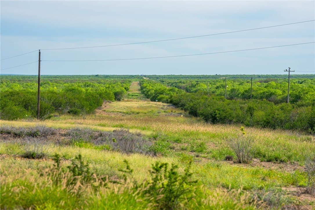 0 acres in McMullen County - photo 24
