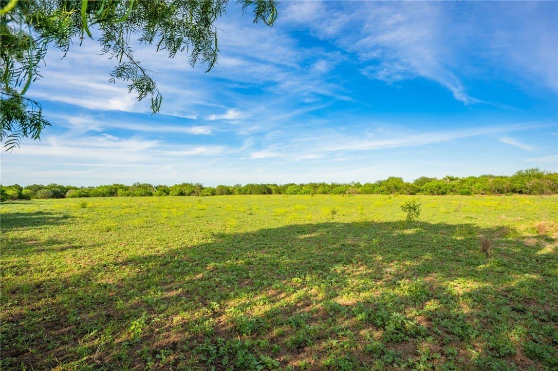 0 acres in McMullen County - photo 29