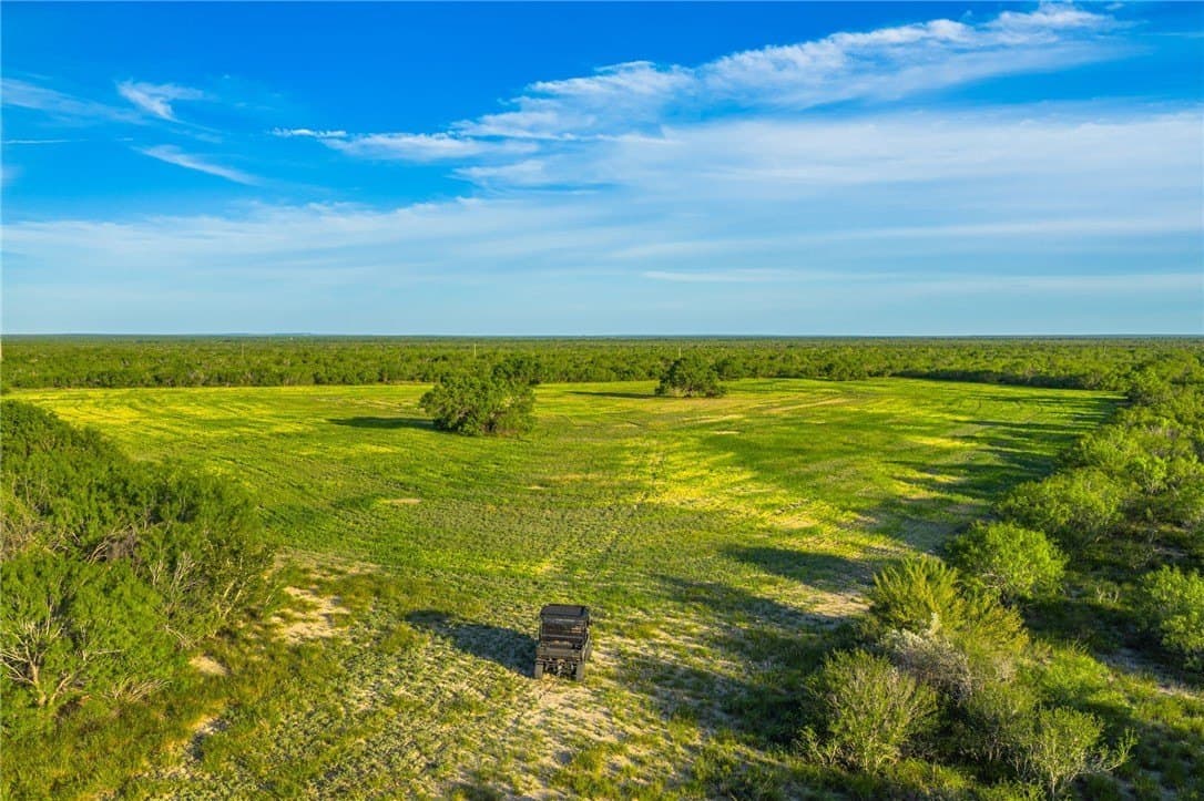 0 acres in McMullen County - photo 2