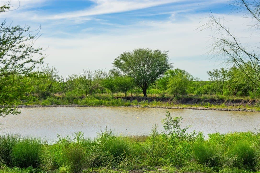 0 acres in McMullen County - photo 5