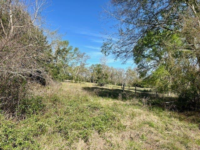 9.05 acres in Leon County featured view