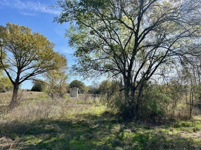 9.05 acres in Leon County gallery image 4