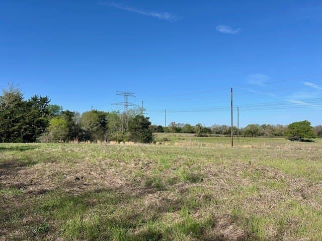 9.05 acres in Leon County gallery image 2